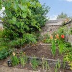 7 garden (Copy).jpg