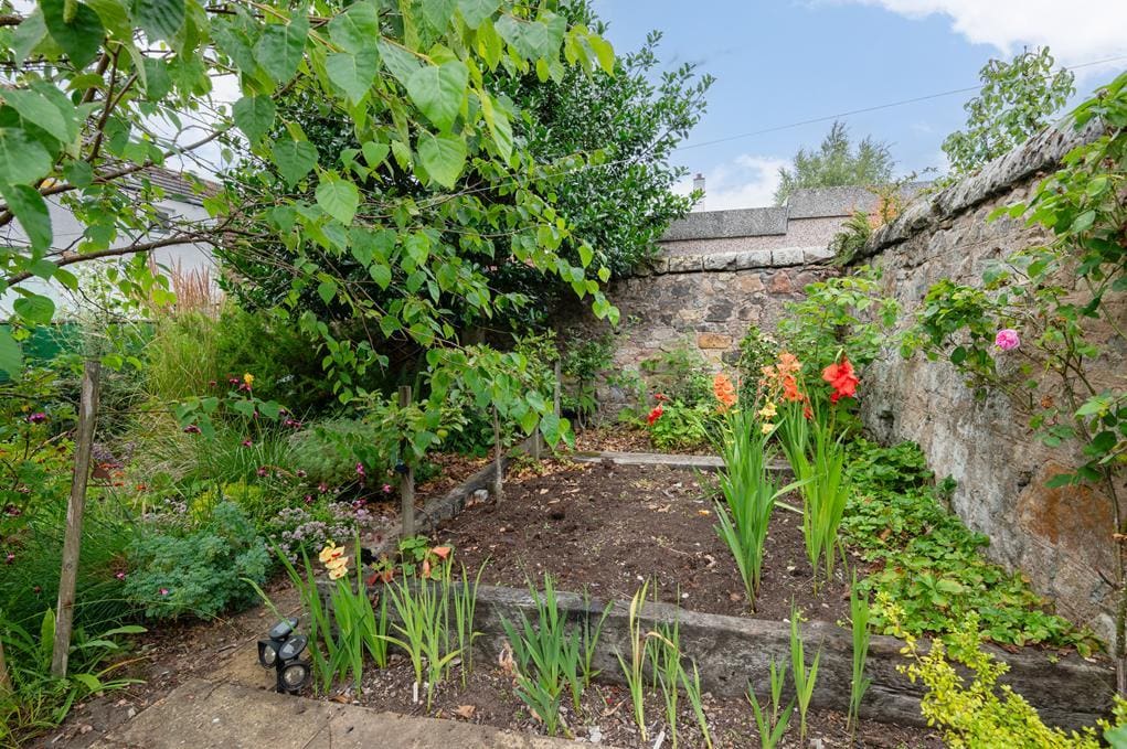 7 garden (Copy).jpg