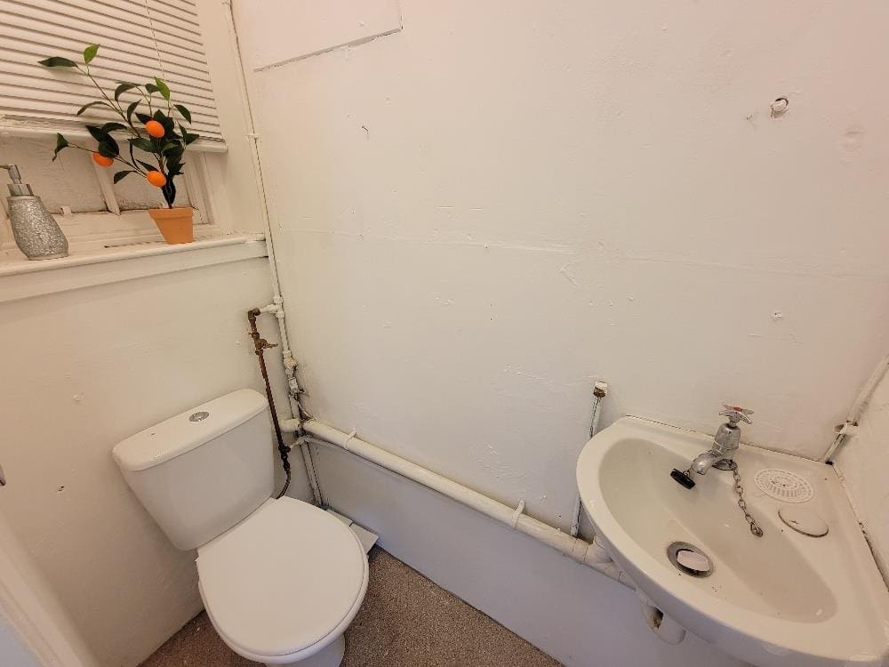 RDC0276LEVC TOILET.jpg
