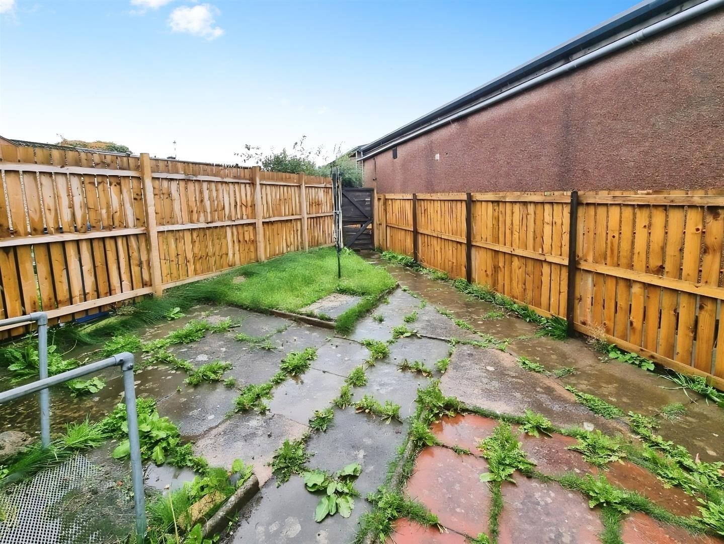 RDC0399LEVI REAR GARDEN.jpg