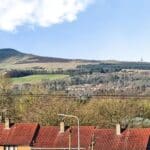 RDC0353LEVI REAR VIEW.jpg