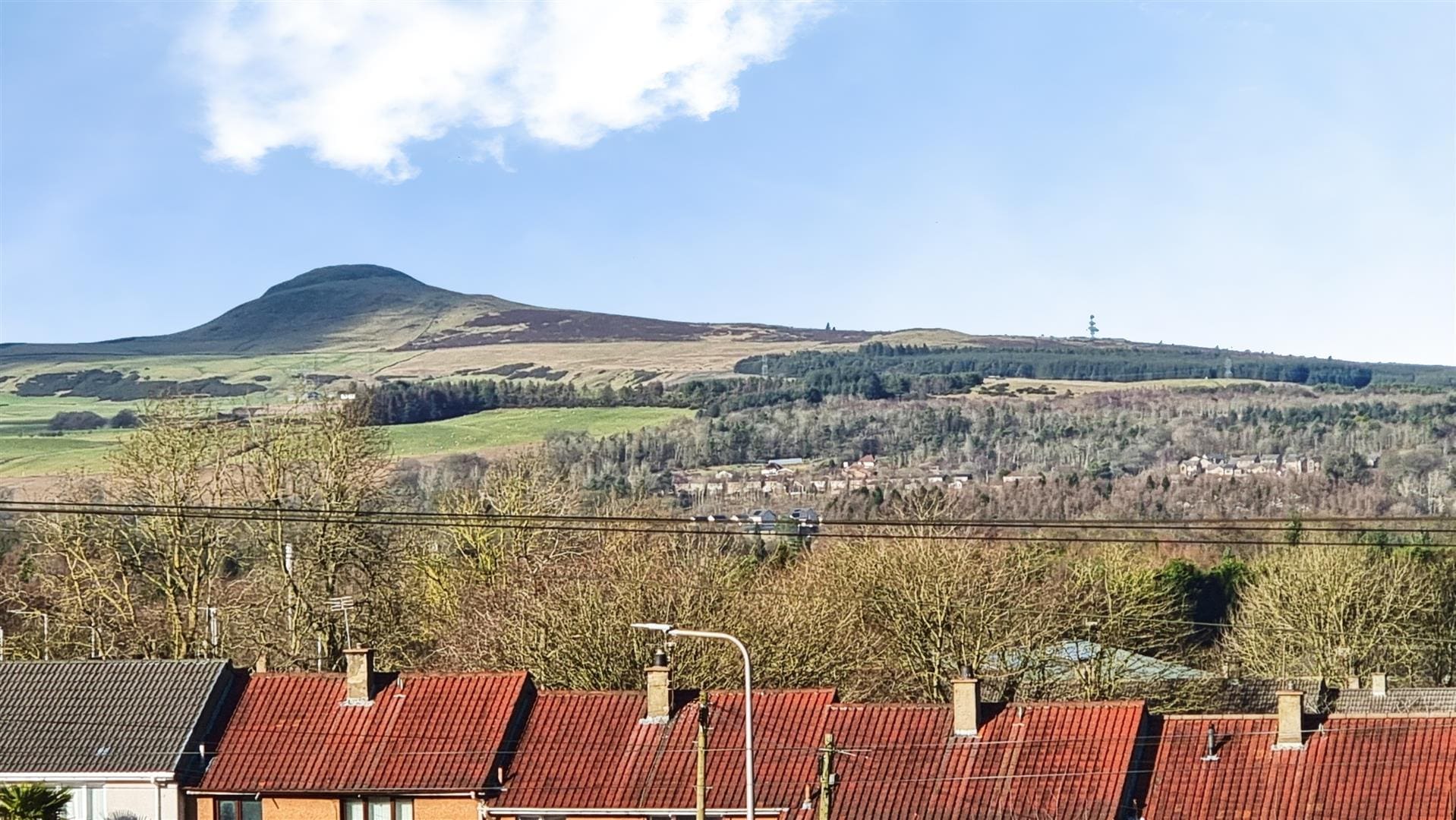 RDC0353LEVI REAR VIEW.jpg