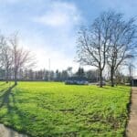 RDC0353LEVI FRONT VIEW.jpg