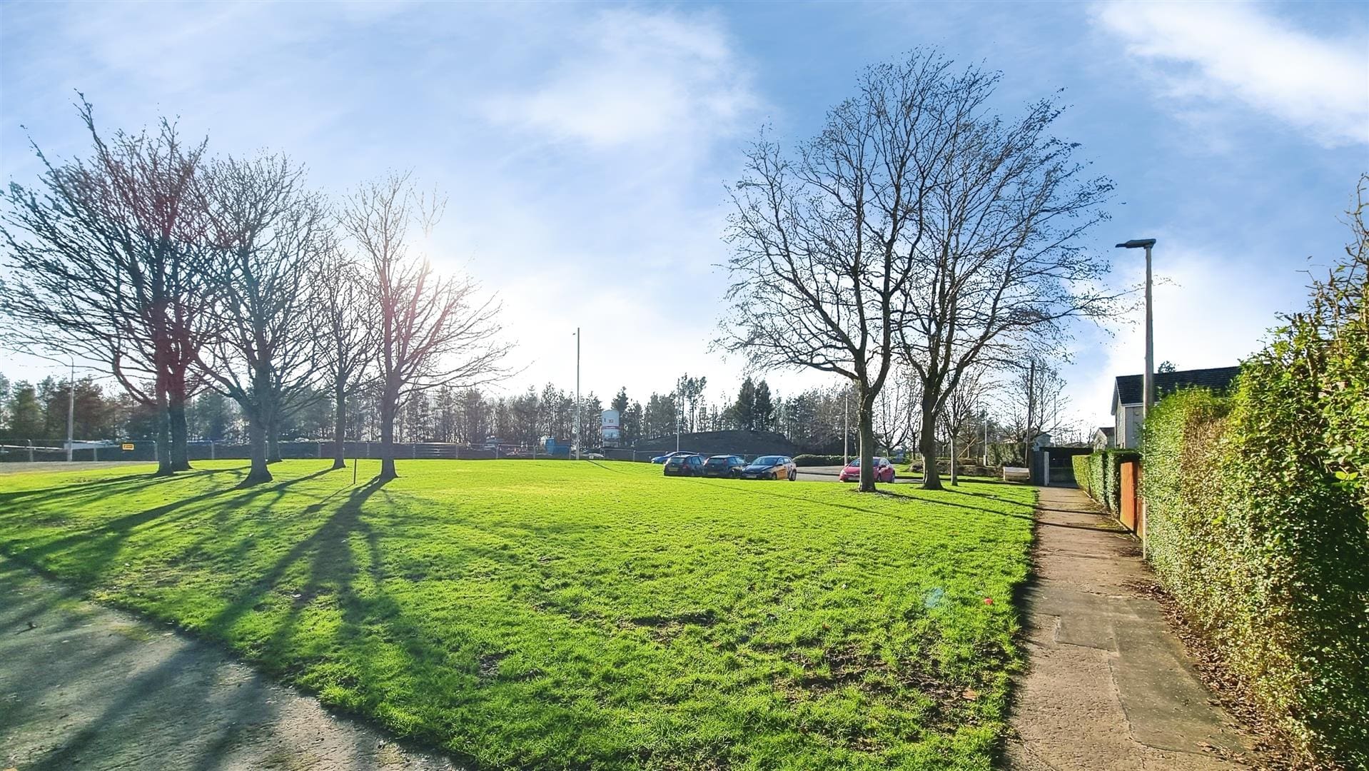 RDC0353LEVI FRONT VIEW.jpg